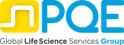 Audit / Quality services Project staffing